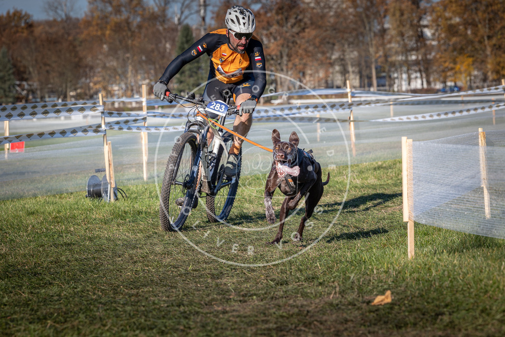 CaniXpix_0L8A5273 | Hundefotografie, Tierfotograf, Pfotenfotografie, Fotoshooting Hund, Hunde Portrait, Hundesport, Hundeportraits, Heideshooting, Hunde, Sportfotograf, Hundefotograf, Turnierhundsport, THS,  - Realisiert mit Pictrs.com