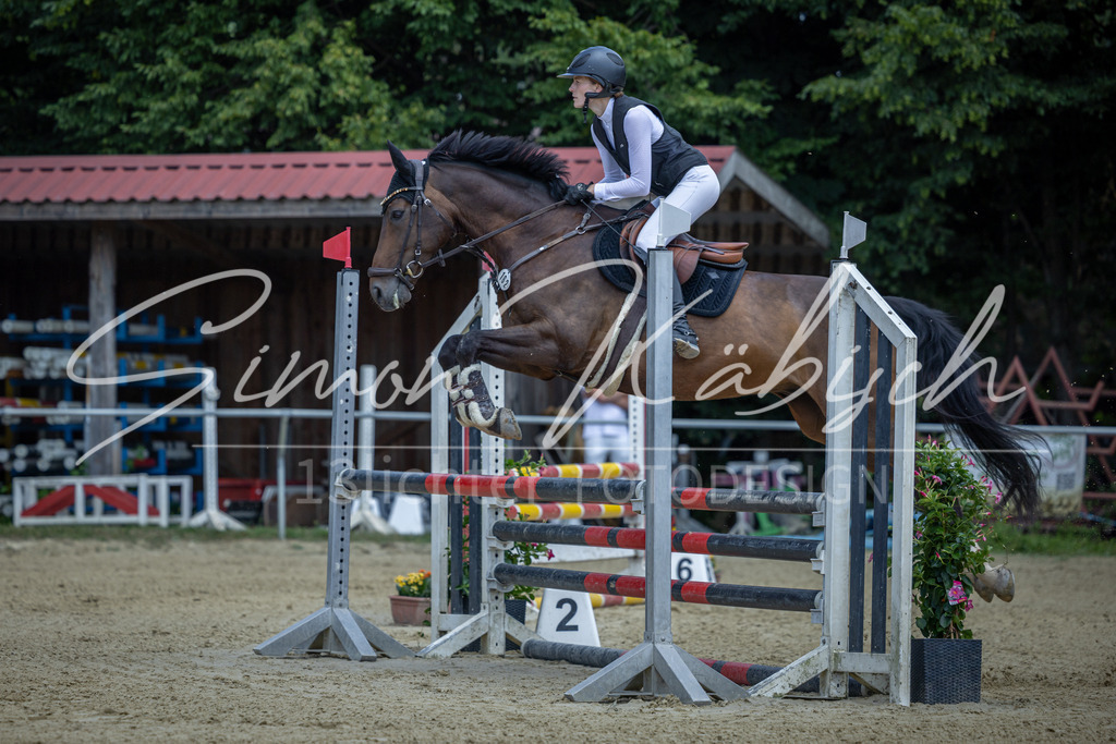 20260704-_3LI9310 | Tierfotografie Pferde, Hunde, Katzen, Haustiere.
Turnierfotografie Reitturniere, Reiten, Springreiten, Dressur in Hanau, dem Main-Kinzig-Kreis und dem Rhein-Main- Gebiet um Frankfurt
