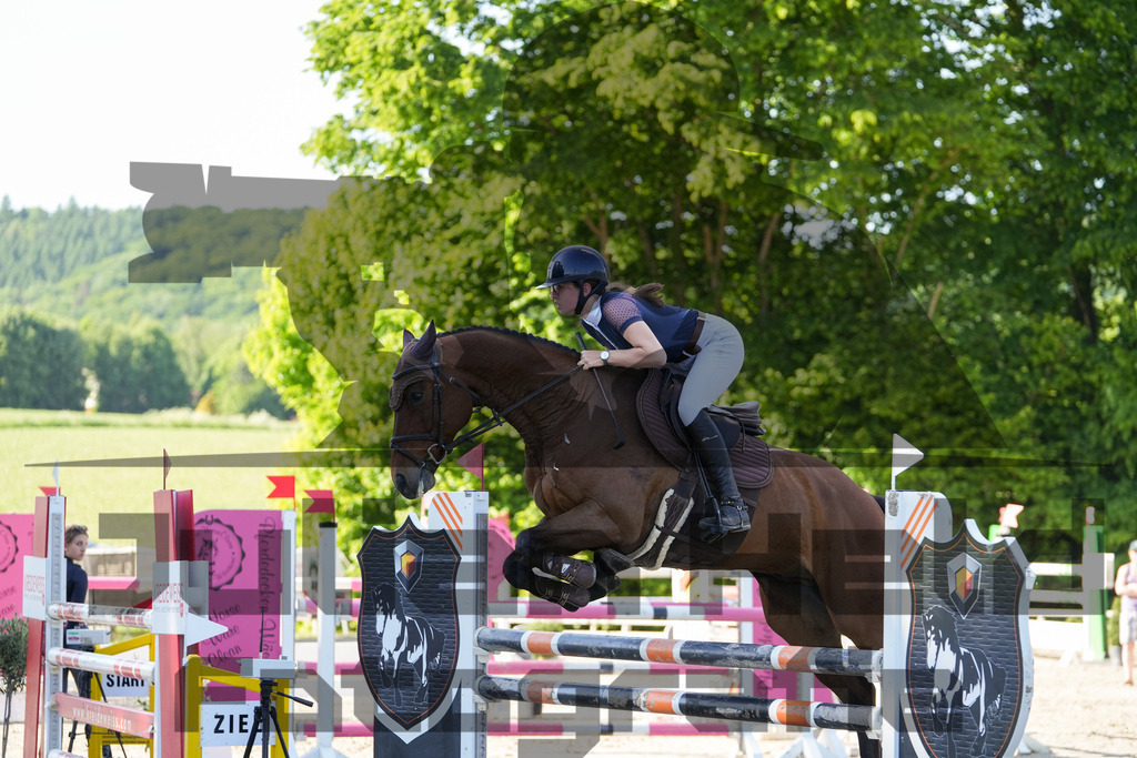 DSC02496 | Julian Held Fotografie - Realisiert mit Pictrs.com