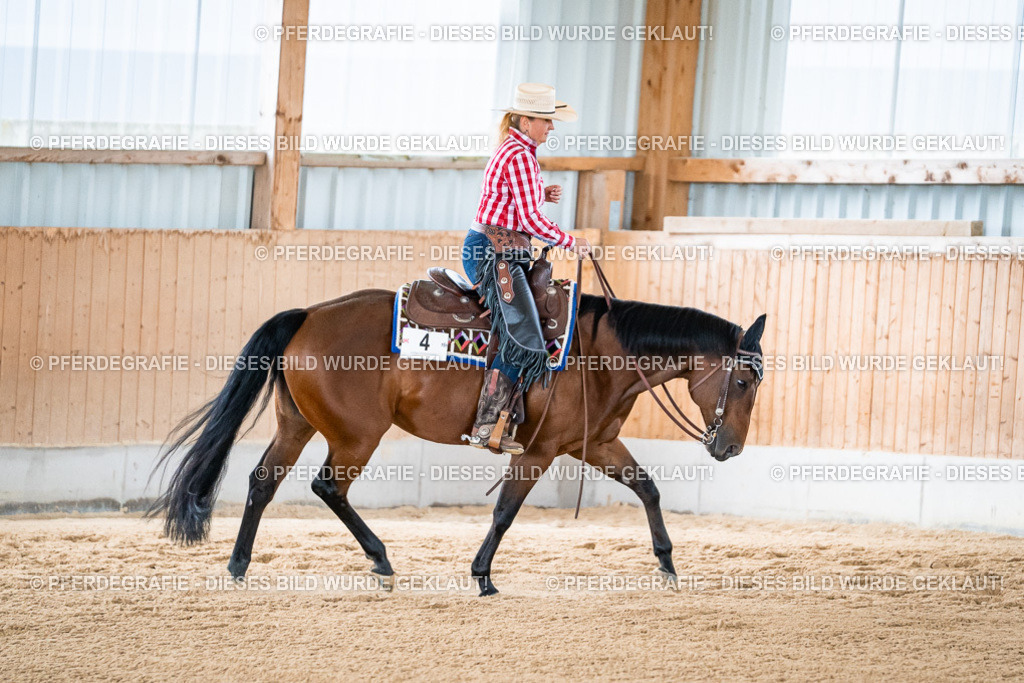 DSC08789 | Pferdegrafie