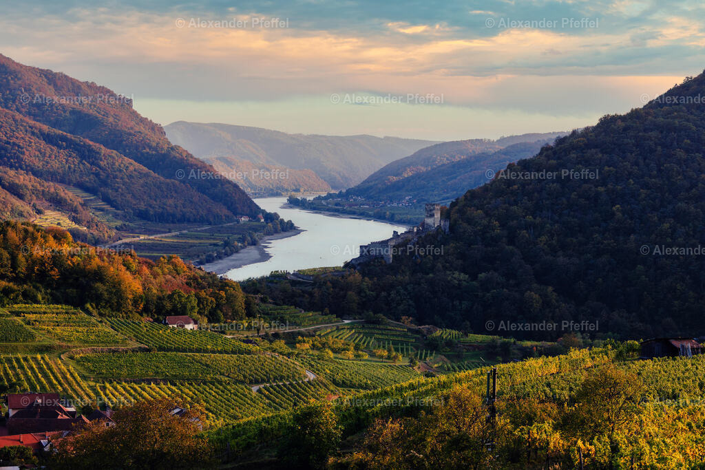 foto_c_pfeffel-partner-0085-R52_0318-Bearbeitet | alexander-pfeffel - Realisiert mit Pictrs.com