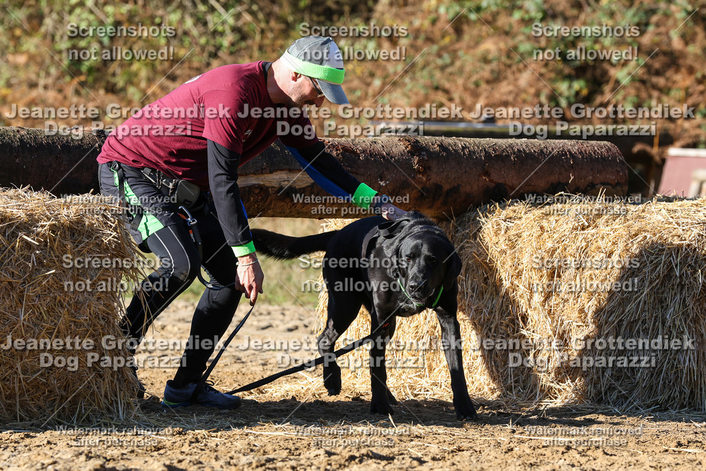 Dog Paparazzi - Strongdog 10-25-1912 | Dog Paparazzi Jeanette Grottendiek Fotografie & Videografie - Realisiert mit Pictrs.com