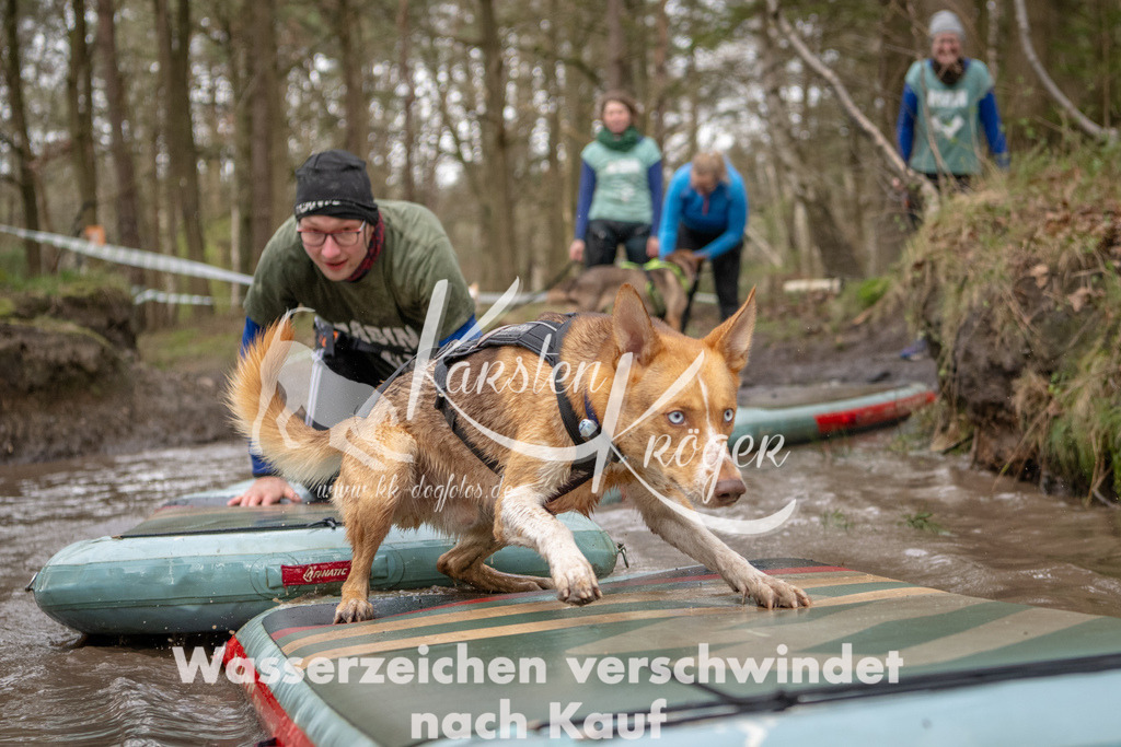 1054_ZZ94917 | kk-dogfotos