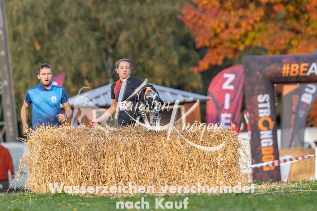 0900_ZZ92082 | kk-dogfotos
