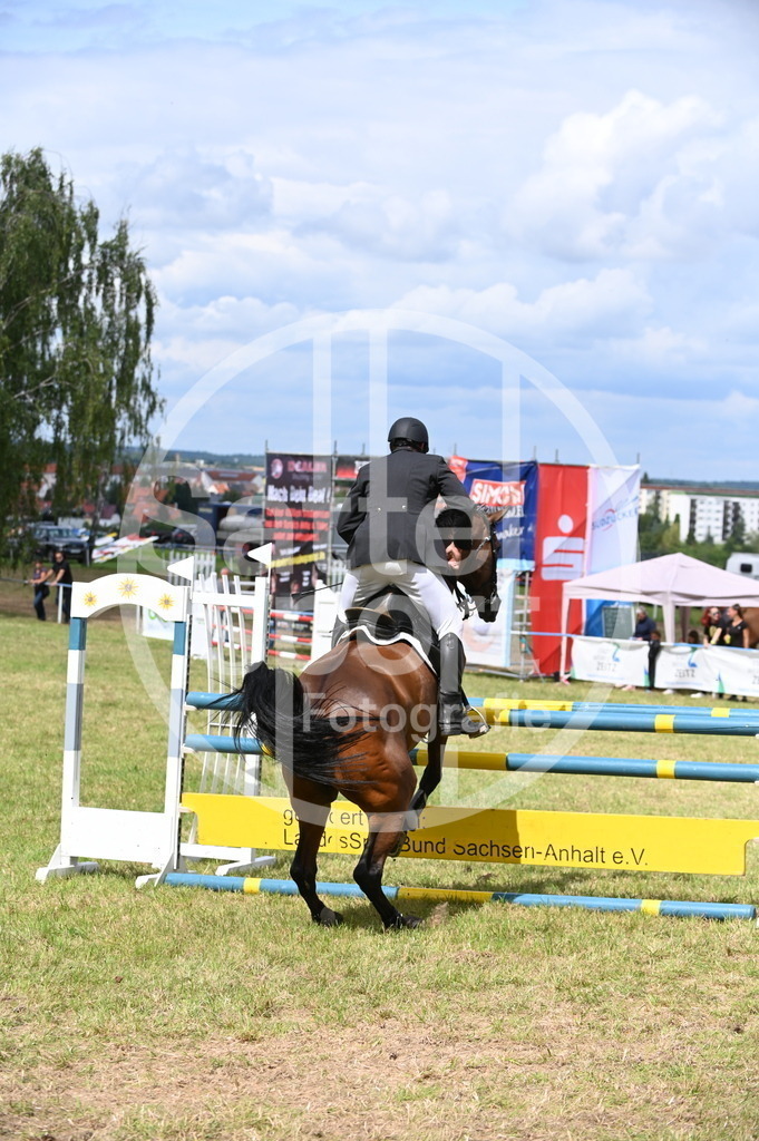 DSC_7116 | sattelsport - Realisiert mit Pictrs.com