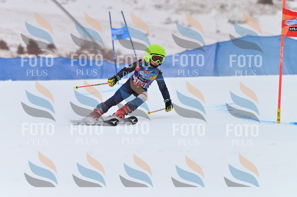 BGV_1108 | holidayphoto