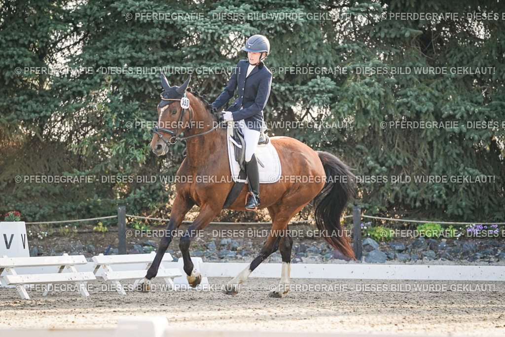 DSC07895 | Pferdegrafie