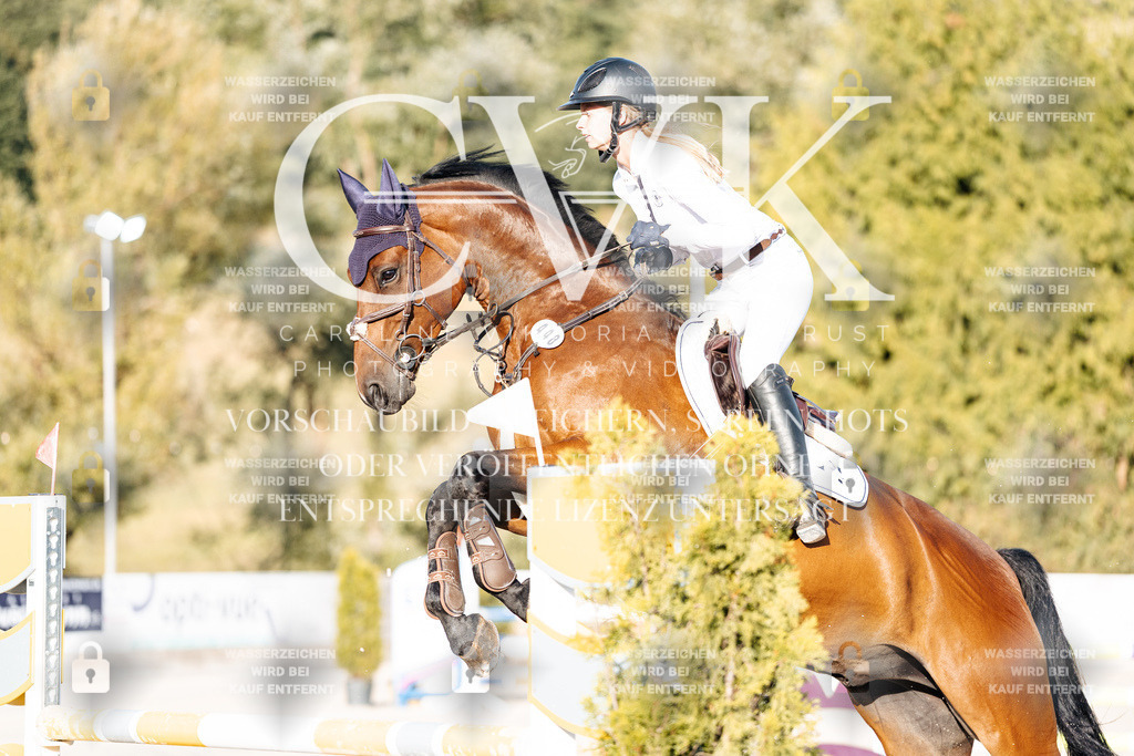 CK900640 | Turnierfotografie Pferdefotografie Trier Rheinland-Pfalz Pferdesport Reitsport Tierfotografie Sportfotografie Pferdevideo Pferdevideografie Equestrianvideography equestrianphotography  - Realisiert mit Pictrs.com