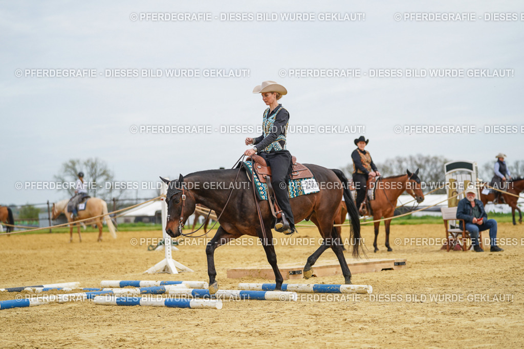 DSC03223 | Pferdegrafie