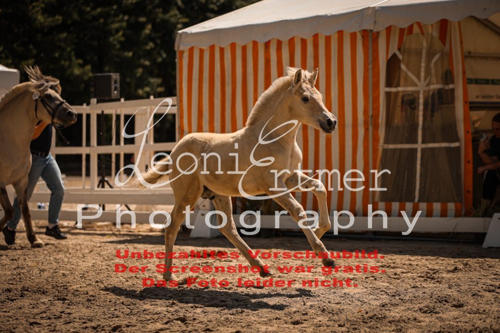05.DoF00046 | Leoni Ertmer Photography - Realisiert mit Pictrs.com