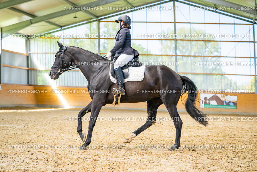 DSC08044 | Pferdegrafie