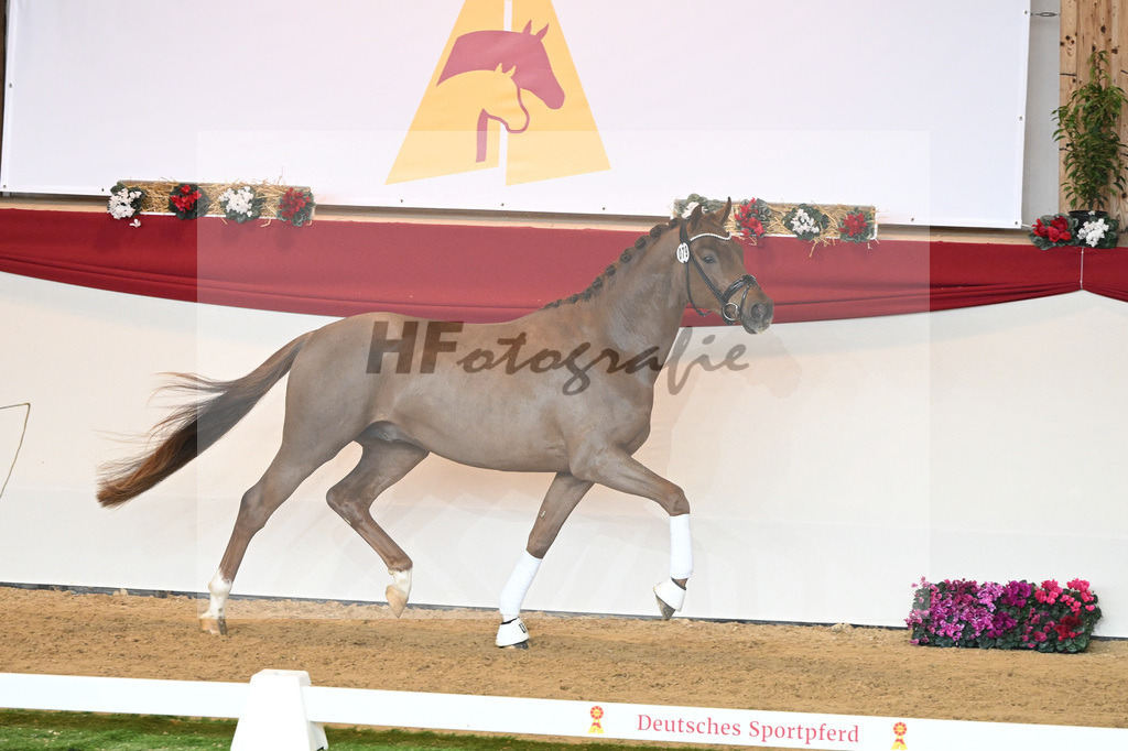 Kat-Nr. 79 Viva Gold_Limbecker GmbH_1230572 | hf-fotografie - Realisiert mit Pictrs.com