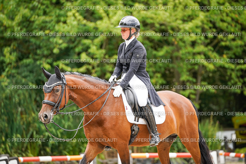 DSC07330 | Pferdegrafie