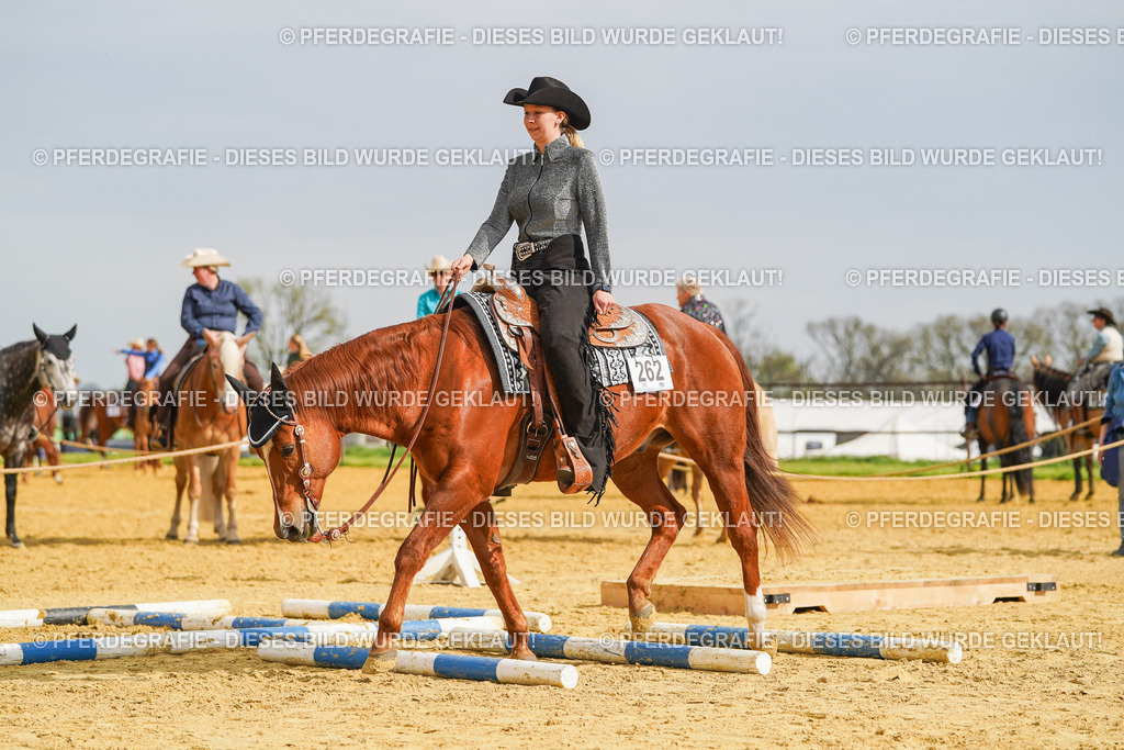 DSC01997 | Pferdegrafie