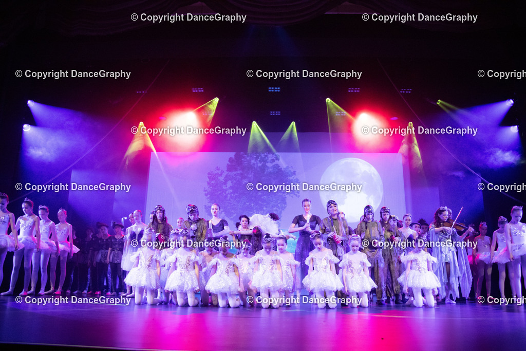 GPHY3428 | DanceGraphy - Realisiert mit Pictrs.com