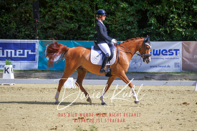 DKP41973 | Turniersportfotografie; Pferdefotografie; Dressurfotografie