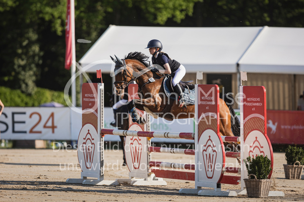 250501_MünsterHandorf_PonyTrophy-237 | Deine schönsten Turniermomente als professionelle Fotos! Entdecke hochwertige Pferdesport-Fotografie im Online-Shop. Jetzt Fotos finden & bestellen!