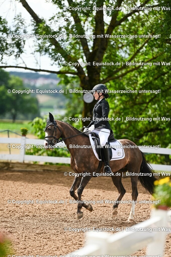 20230716_10-1_Reiter-WB Schritt - Trab - Galopp_0195 | equistock