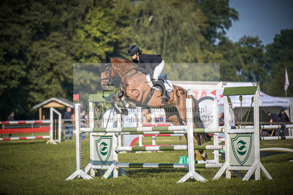 DOS_0357 | Entdecke hochwertige Reitturnierfotos von Foto Oger. Professionell, emotional und authentisch – jetzt Lieblingsmomente im Shop bestellen.Deutschlandweite Turnierfotografie. - Realisiert mit Pictrs.com