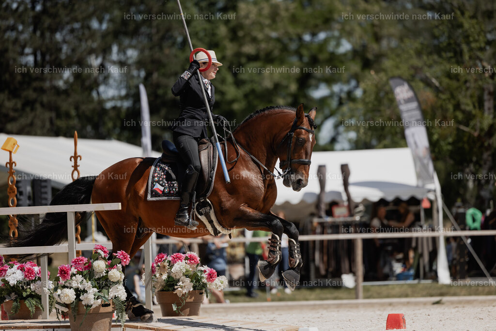 WE_SP_Stoib_322_PI2025_1797 | Pferd International München 2025