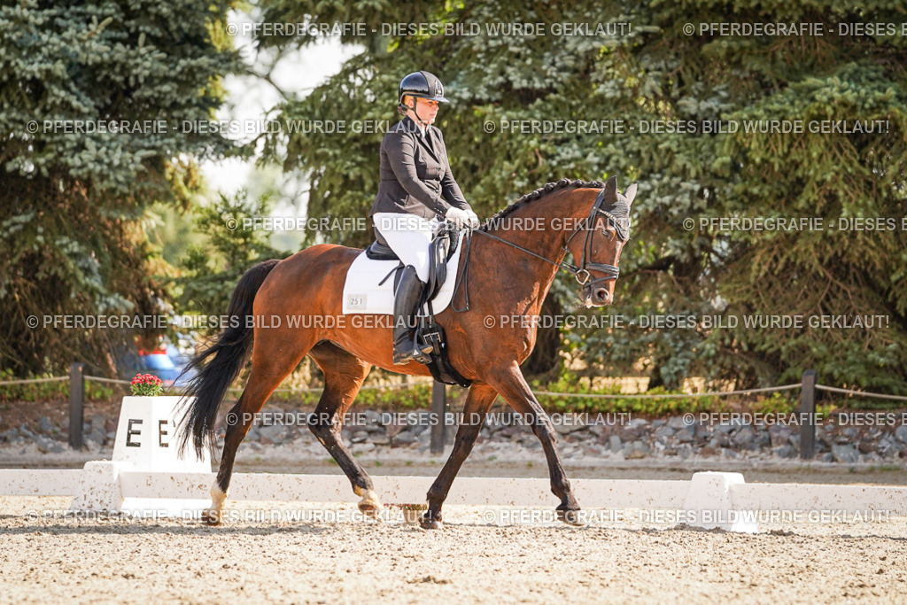 DSC00610 | Pferdegrafie