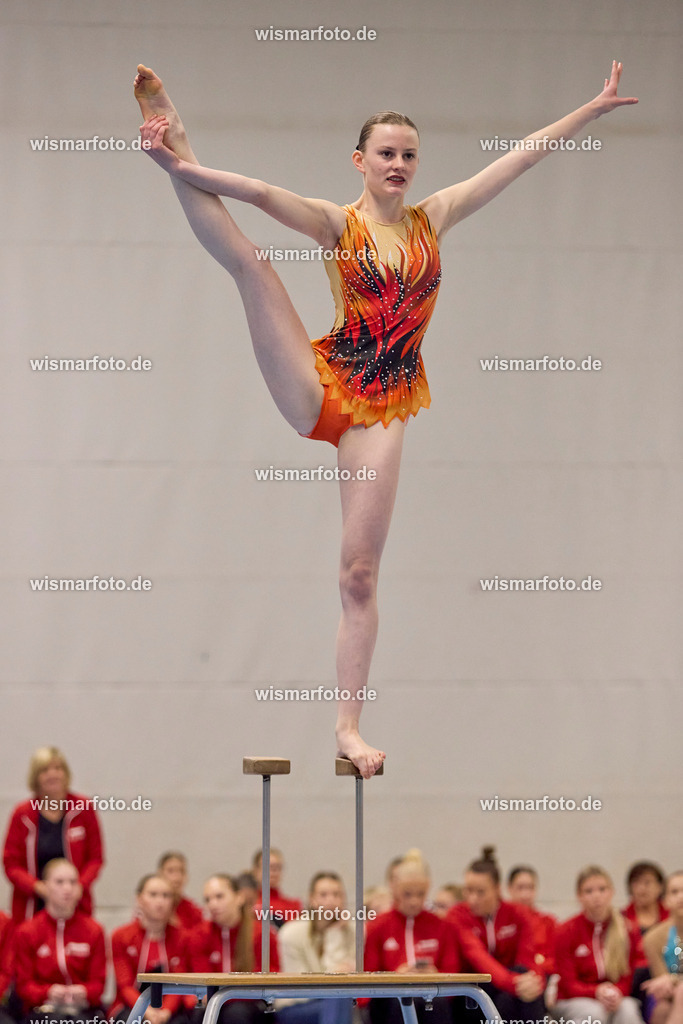 251108_wismar_070 | wismarfoto.de - Realisiert mit Pictrs.com