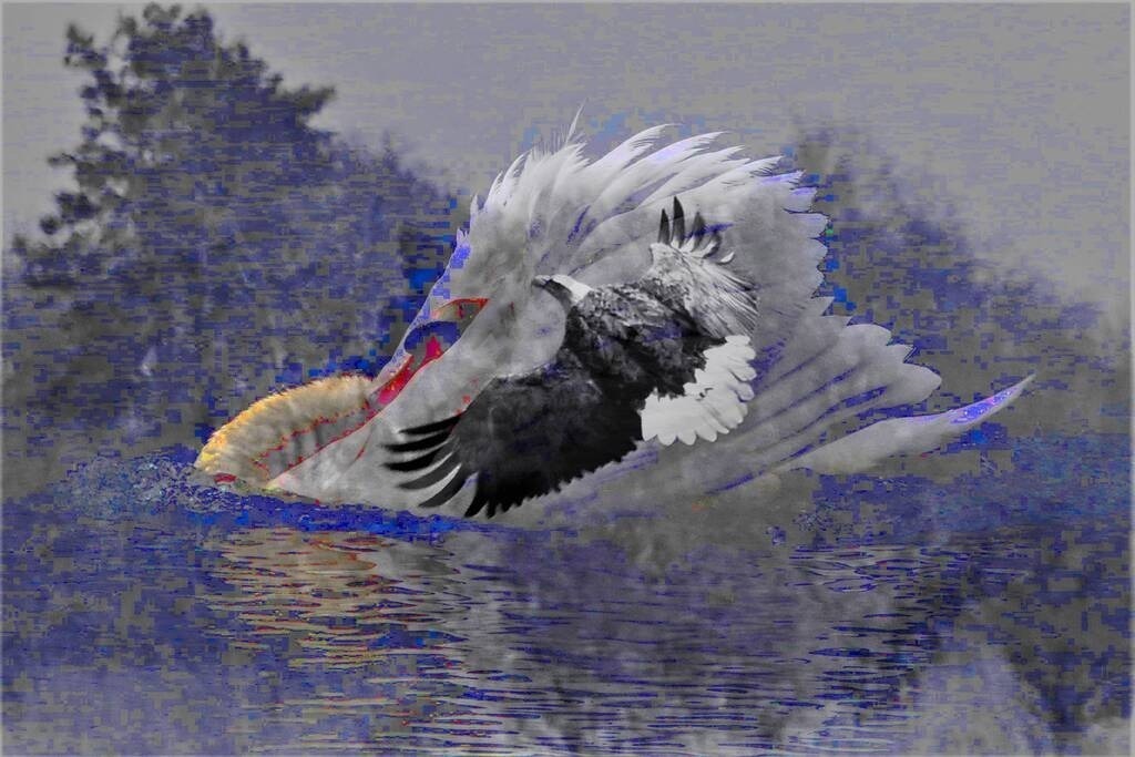 Overlay_Voegel_552 | Annaeherungen - Realisiert mit Pictrs.com