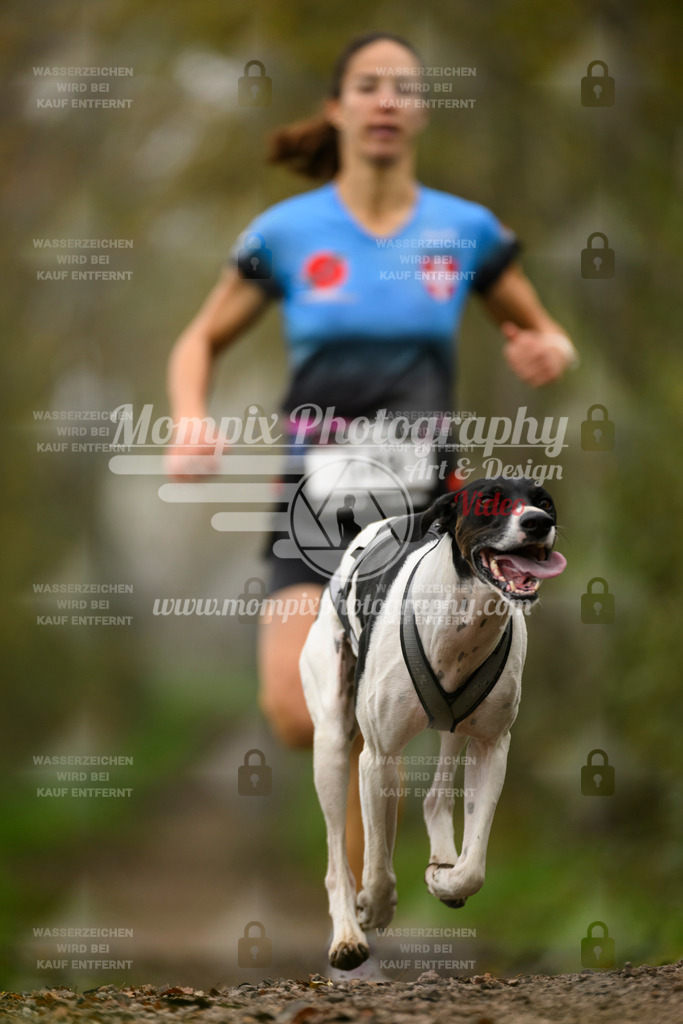 MompixPhotography_20TSB_E6_Run-38 | PayLife