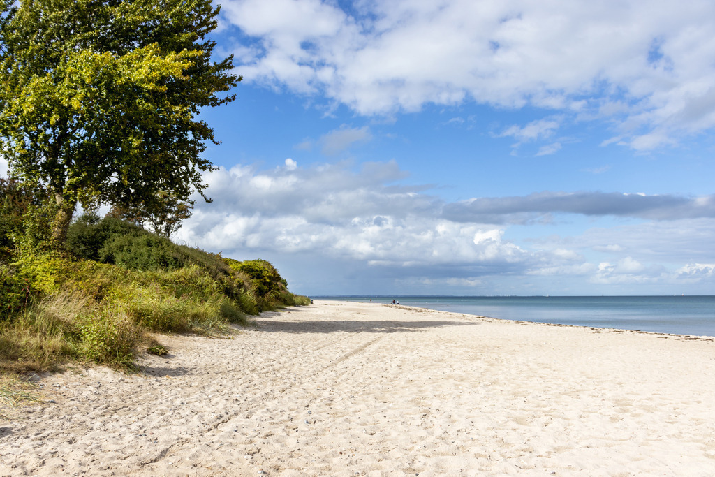 XXL Wandbild: Traumhafter Strand an der Ostsee | Dieses XXL Wandbild im Querformat zeigt einen schönen Sandstrand an der Ostsee. Im Vordergrund ist das schöne beige des Sandstrands zu sehen. Auf der linken Seite wachsen einige Büsche und ein Baum an der Steilküste. Am blauen Himmel sind überwiegend helle Wolken zu sehen.  - Realisiert mit Pictrs.com