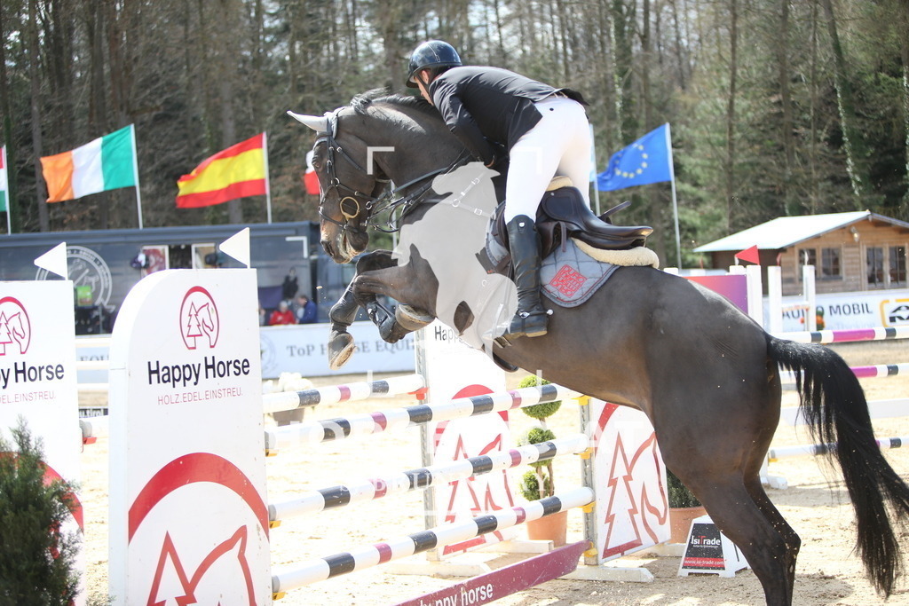 AS8V7024 | Willkommen bei Brunnmayr - Design & Fotografie – Ihrem Spezialisten für Reitturniere und Pferdeveranstaltungen in Oberösterreich, Salzburg und Bayern! Seit über 17 Jahren sind wir leidenschaftlich dabei.