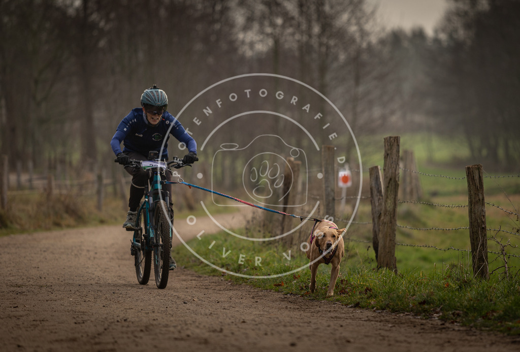 Pfotenfotografie_DV3A1963 | Hundefotografie, Tierfotograf, Pfotenfotografie, Fotoshooting Hund, Hunde Portrait, Hundesport, Hundeportraits, Heideshooting, Hunde, Sportfotograf, Hundefotograf, Turnierhundsport, THS,  - Realisiert mit Pictrs.com