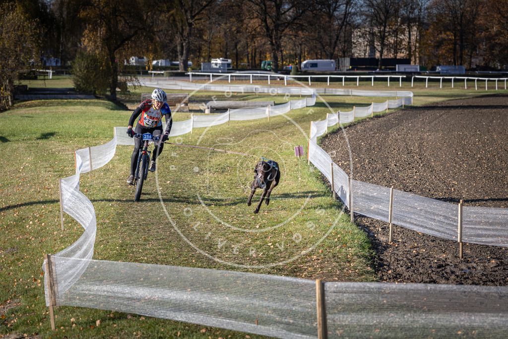 CaniXpix_DV3A4687 | Hundefotografie, Tierfotograf, Pfotenfotografie, Fotoshooting Hund, Hunde Portrait, Hundesport, Hundeportraits, Heideshooting, Hunde, Sportfotograf, Hundefotograf, Turnierhundsport, THS,  - Realisiert mit Pictrs.com