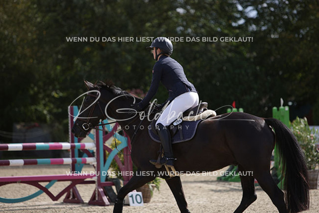 1J2A3495Freya Sophie Langhans_ Comme Toi_ Kn260_ Havekost | Foto- und Videografie für alles rund ums Pferd. Hochwertige Bilder und Videos vom Spring- und Dressurreiten, Voltigieren & mehr. Jetzt aktuelle Veranstaltungen und Preise im Shop ansehen. - Realisiert mit Pictrs.com