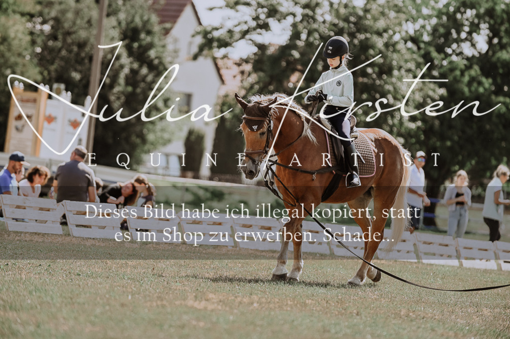 DSC_7555 | Pferde- und Turnierfotografie in Westsachsen. Pferdeportraits, Auftragszeichnungen und intuitive Kunst.