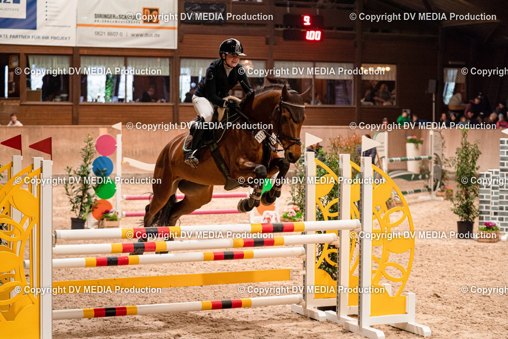 Springen Tag 2-612 | dv-media-shop - Realisiert mit Pictrs.com