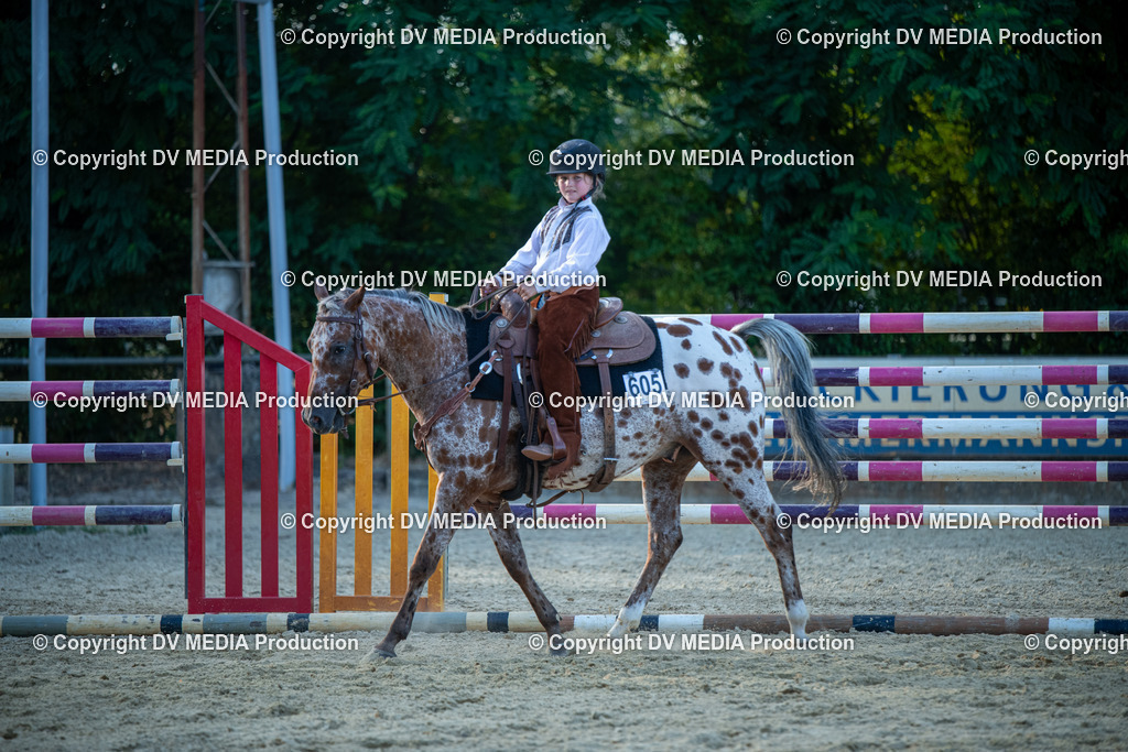 EWP_7226 | dv-media-shop - Realisiert mit Pictrs.com