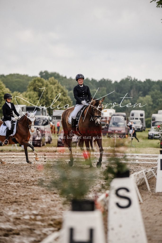 DSC_9384 | Pferde- und Turnierfotografie in Westsachsen. Pferdeportraits, Auftragszeichnungen und intuitive Kunst.