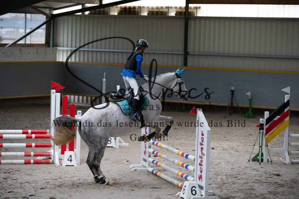 A7V00914 | Pferdefotograf