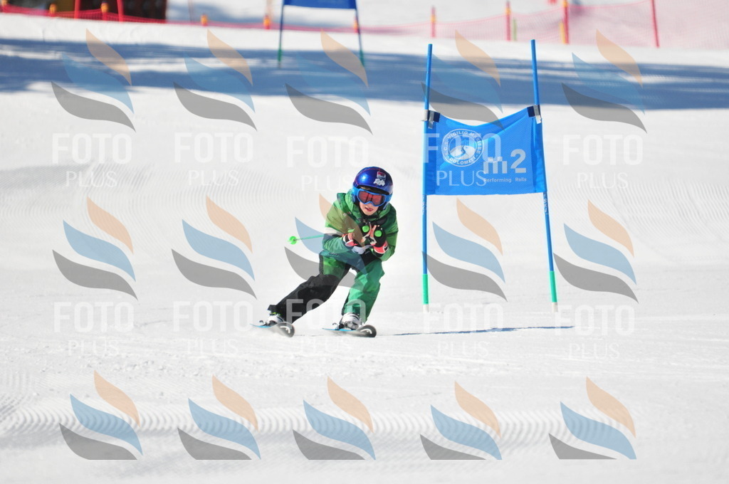 C2186 | holidayphoto