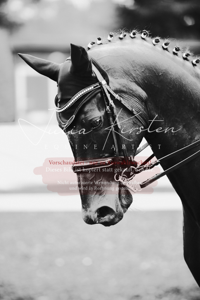 DSC_4916 | Pferde- und Turnierfotografie in Westsachsen. Pferdeportraits, Auftragszeichnungen und intuitive Kunst.