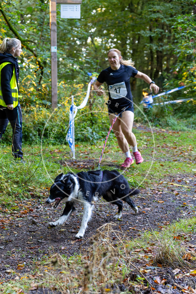 Pfotenfotografie_DV3A6409 | Hundefotografie, Tierfotograf, Pfotenfotografie, Fotoshooting Hund, Hunde Portrait, Hundesport, Hundeportraits, Heideshooting, Hunde, Sportfotograf, Hundefotograf, Turnierhundsport, THS,  - Realisiert mit Pictrs.com