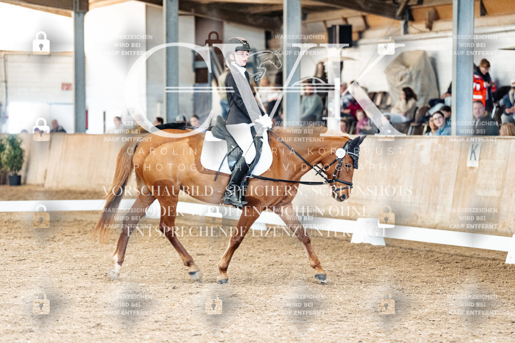 CK900327 | Turnierfotografie Pferdefotografie Trier Rheinland-Pfalz Pferdesport Reitsport Tierfotografie Sportfotografie Pferdevideo Pferdevideografie Equestrianvideography equestrianphotography  - Realisiert mit Pictrs.com