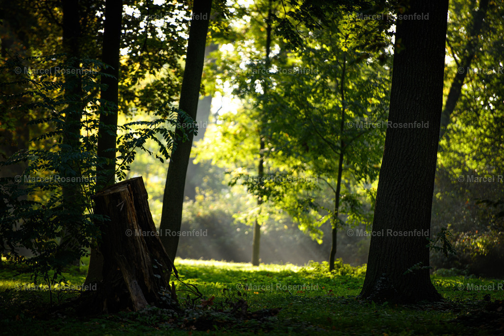 _DSC9647 | foto-rosenfeld