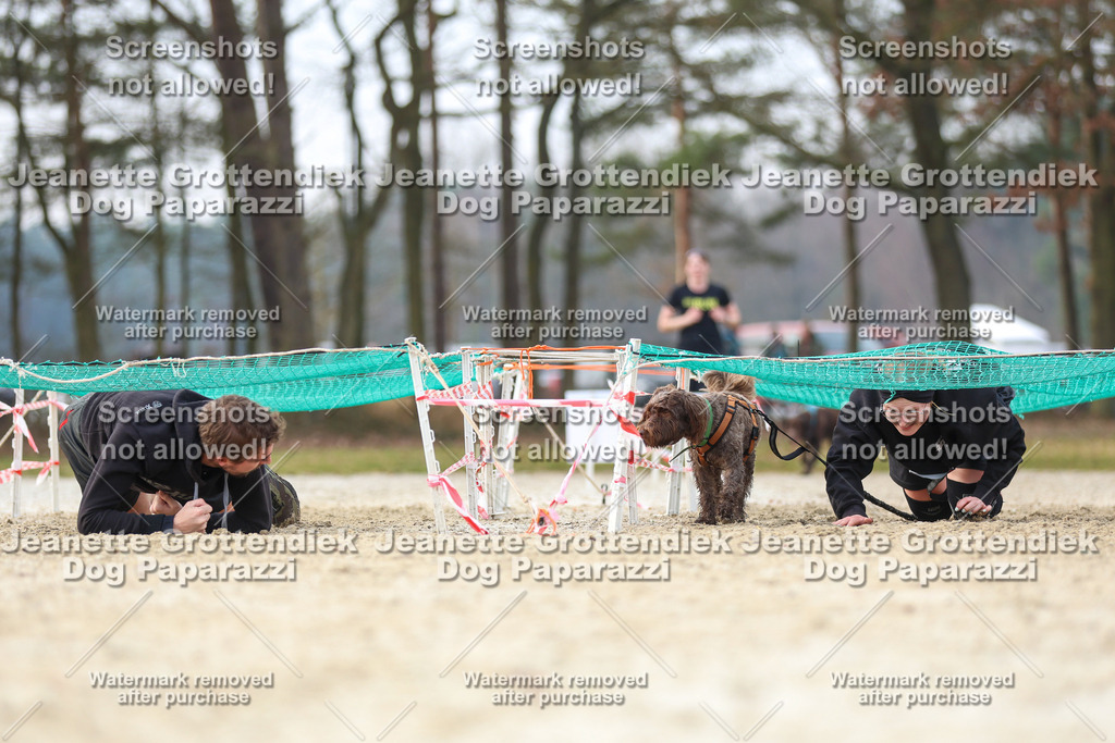 Dog Paparazzi - Strongdog North Mrz26-4342 | Dog Paparazzi Jeanette Grottendiek Fotografie & Videografie - Realisiert mit Pictrs.com