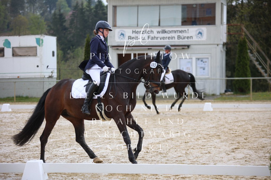 IMGT2737 | pl-fotografie