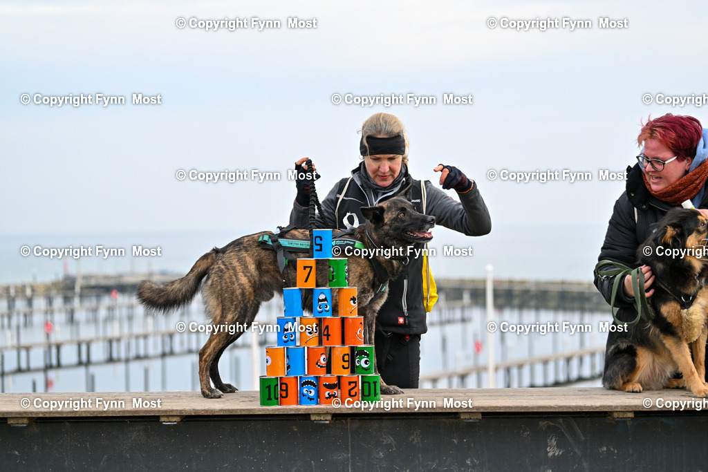 DSC_4303 | Hallo und herzlich Willkommen auf meiner Shop-Seite Fynn Most.

Ich wünsche Dir viel Spaß beim stöbern durch die Bilder, wenn Du Fragen hast oder Bilder vermisst, kannst du mir gerne eine Nachricht schreiben. - Realisiert mit Pictrs.com
