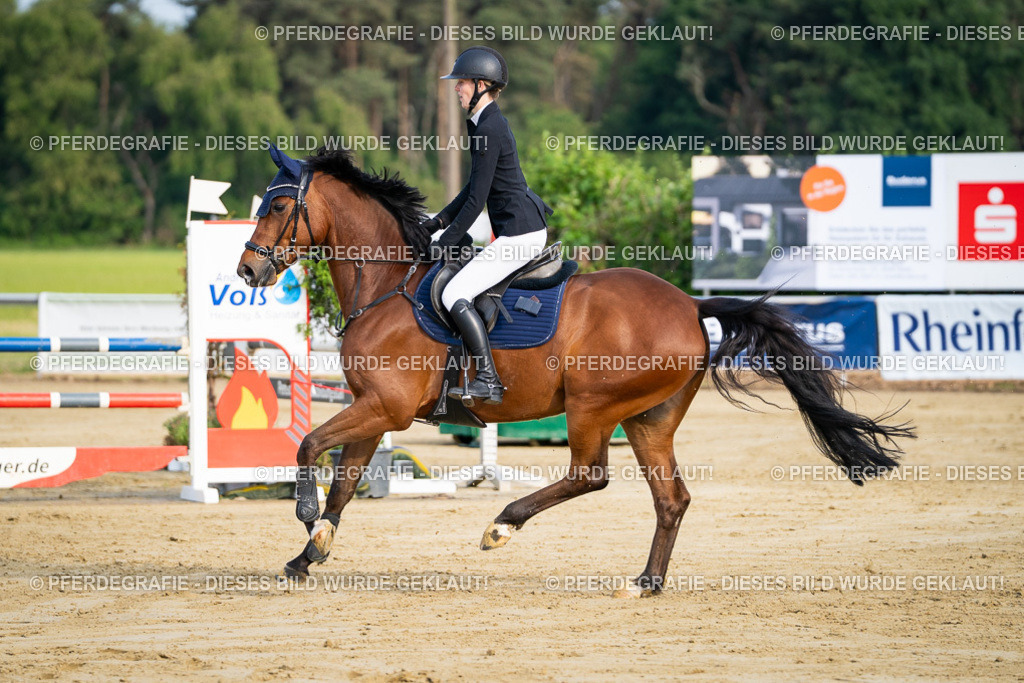 DSC02513 | Pferdegrafie