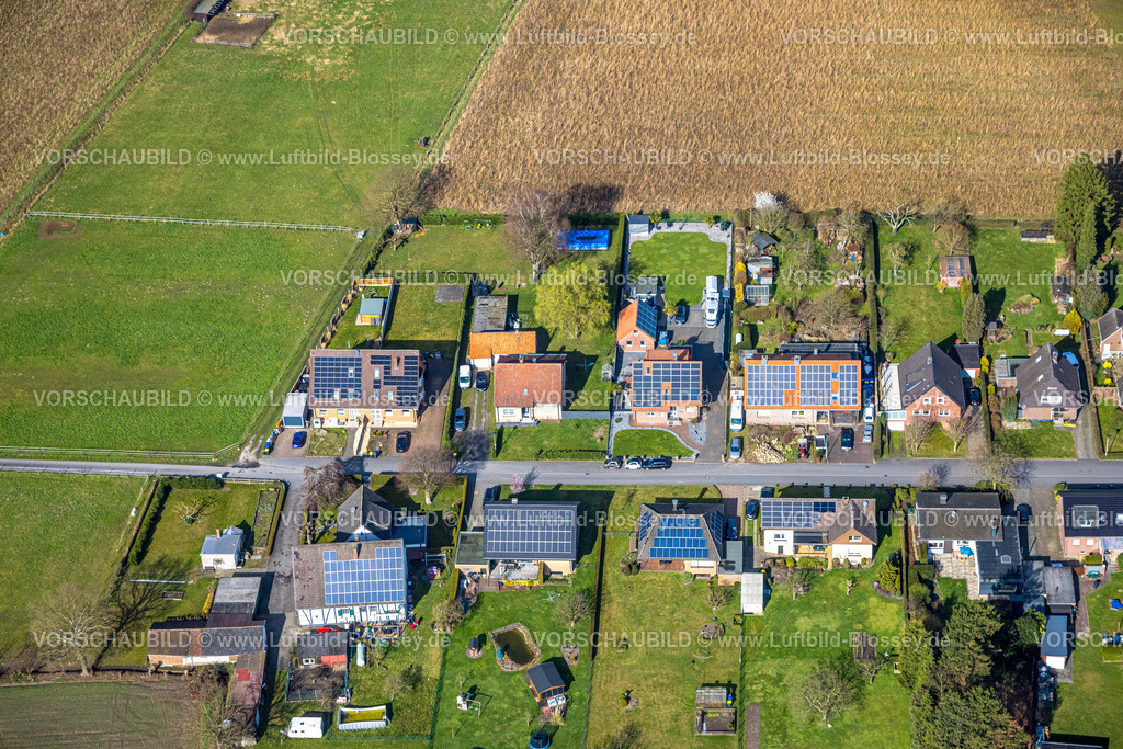 Selm260306911Bork | Luftbild, Wohnsiedlung Wiesenstraße, Häuser mit Solardach und Kleingarten, Bork, Selm, Münsterland, Nordrhein-Westfalen, Deutschland