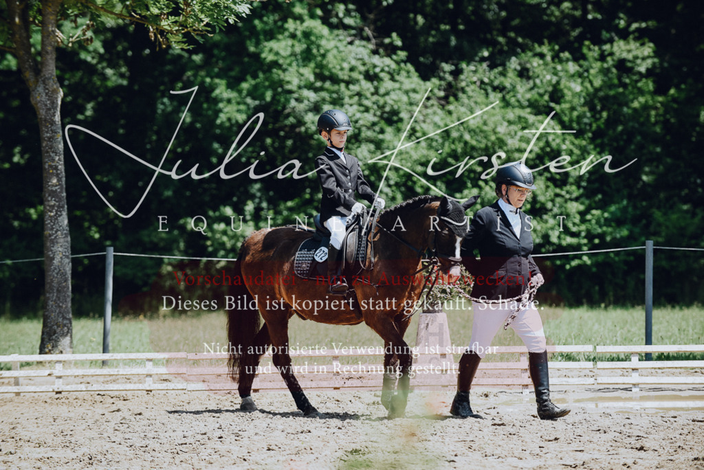 DSC_2135 | Pferde- und Turnierfotografie in Westsachsen. Pferdeportraits, Auftragszeichnungen und intuitive Kunst.