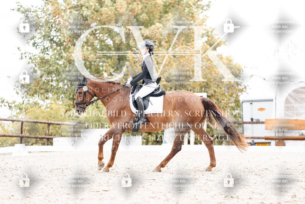CK900842 | Turnierfotografie Pferdefotografie Trier Rheinland-Pfalz Pferdesport Reitsport Tierfotografie Sportfotografie Pferdevideo Pferdevideografie Equestrianvideography equestrianphotography  - Realisiert mit Pictrs.com